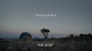 iBhokhwe (The Goat)
